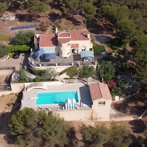 Violette Bed & Breakfast
